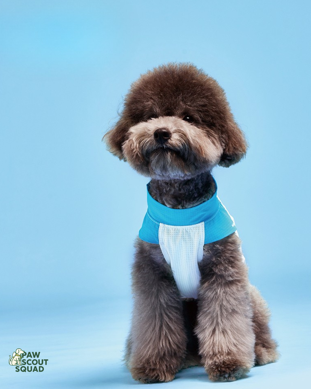 Hoooootdog Pet Apparel Cooling Sleeveless Tee (Coconut Cool)