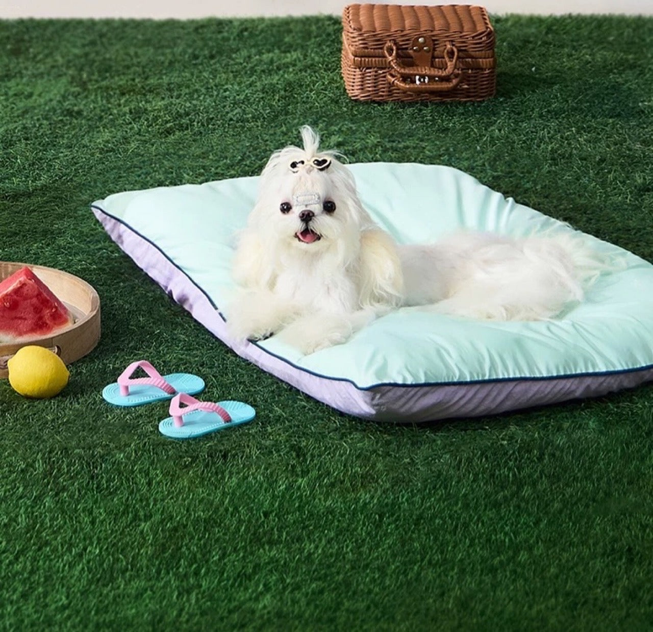 UF Duo-sided Cooling Bed