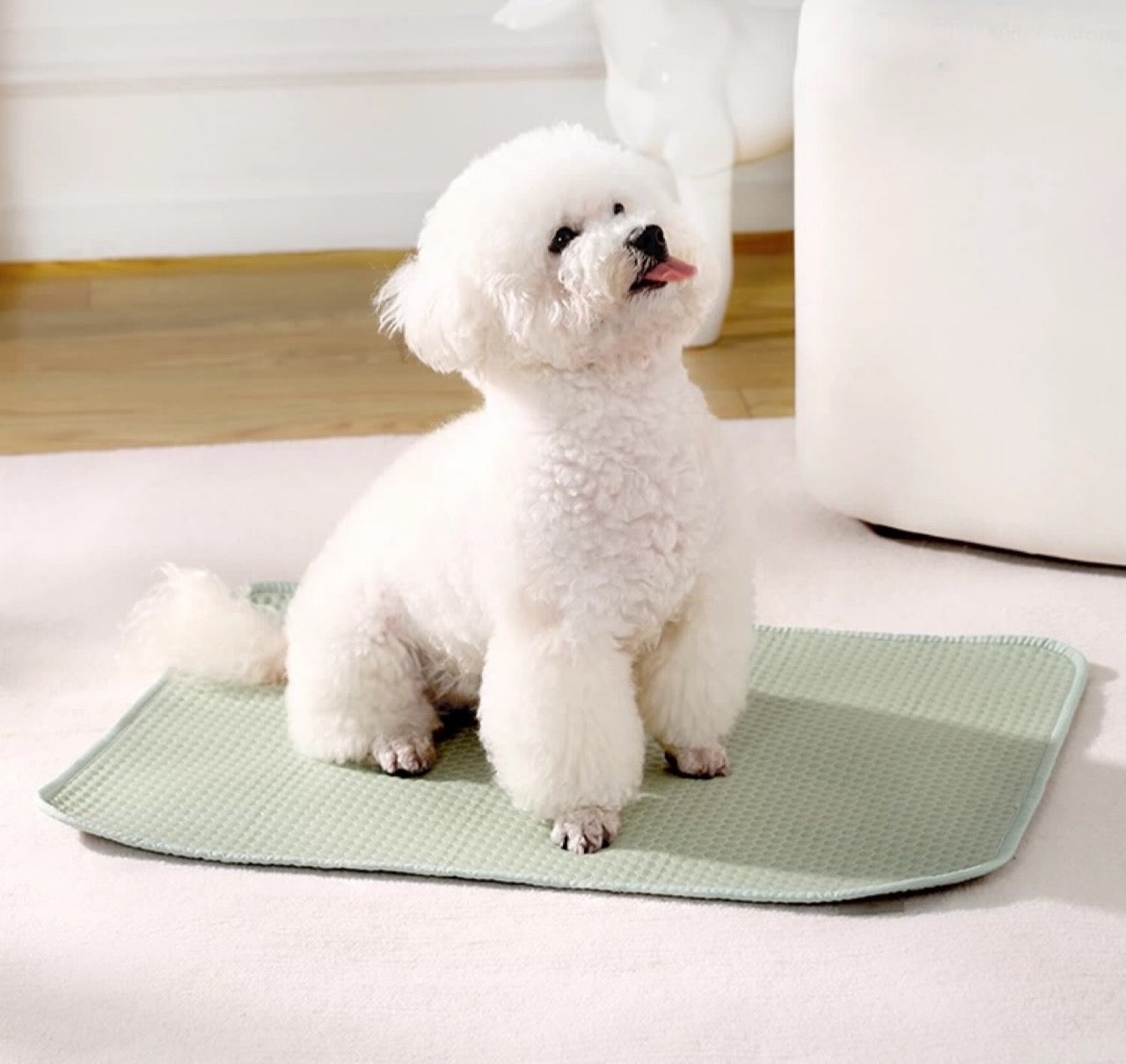 UF Pet Anti-Slip Cooling Mat