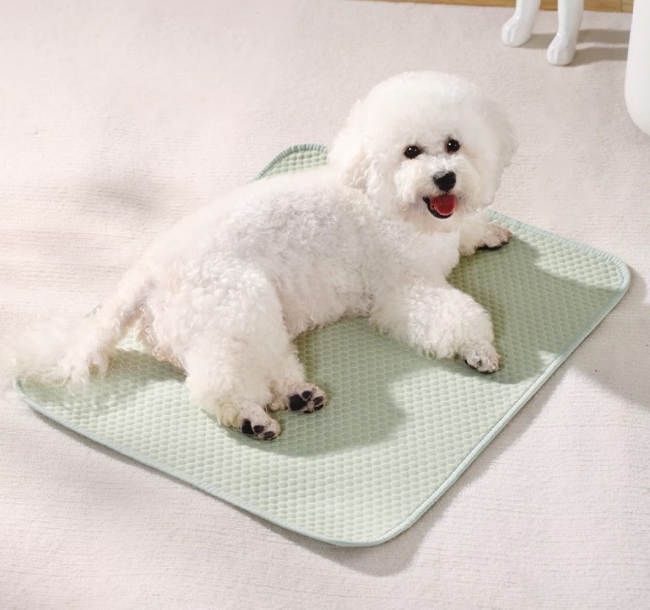 UF Pet Anti-Slip Cooling Mat