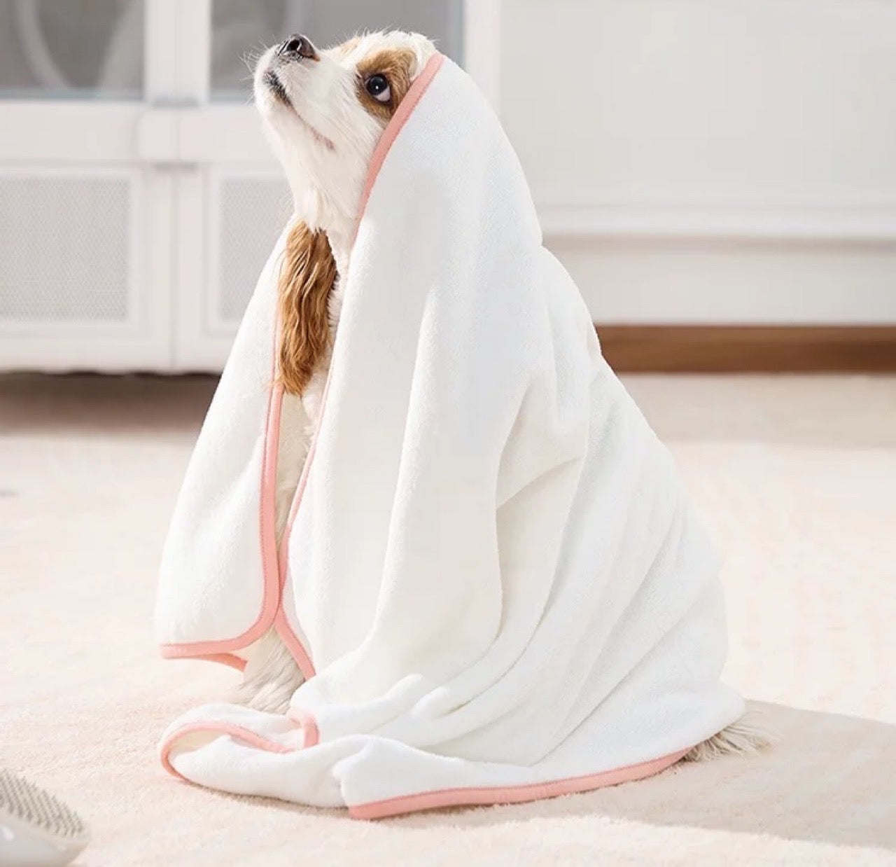 UF Pet Towel (White)