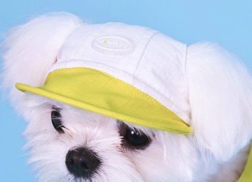 Hoooootdog Apparels Cooling Hat (Lemon Green)