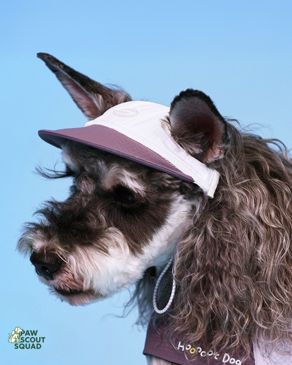 Hoooootdog Apparel Cooling Hat (Purple Grapes)