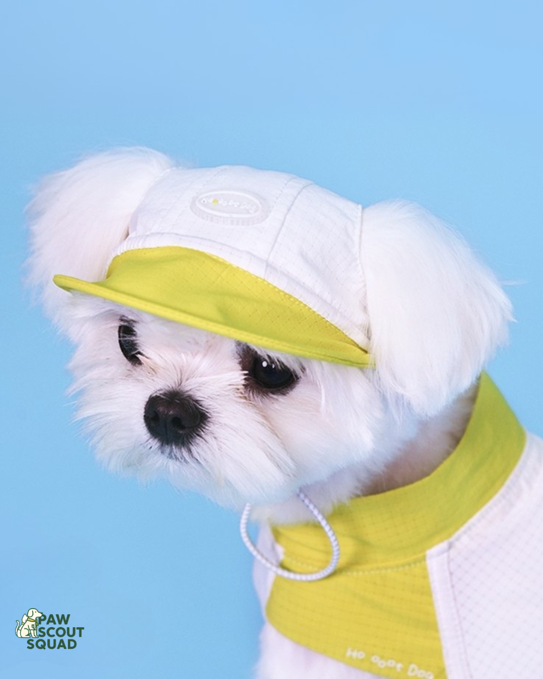 Hoooootdog Pet Apparel Cooling Sleeveless Tee (Lemon Green)