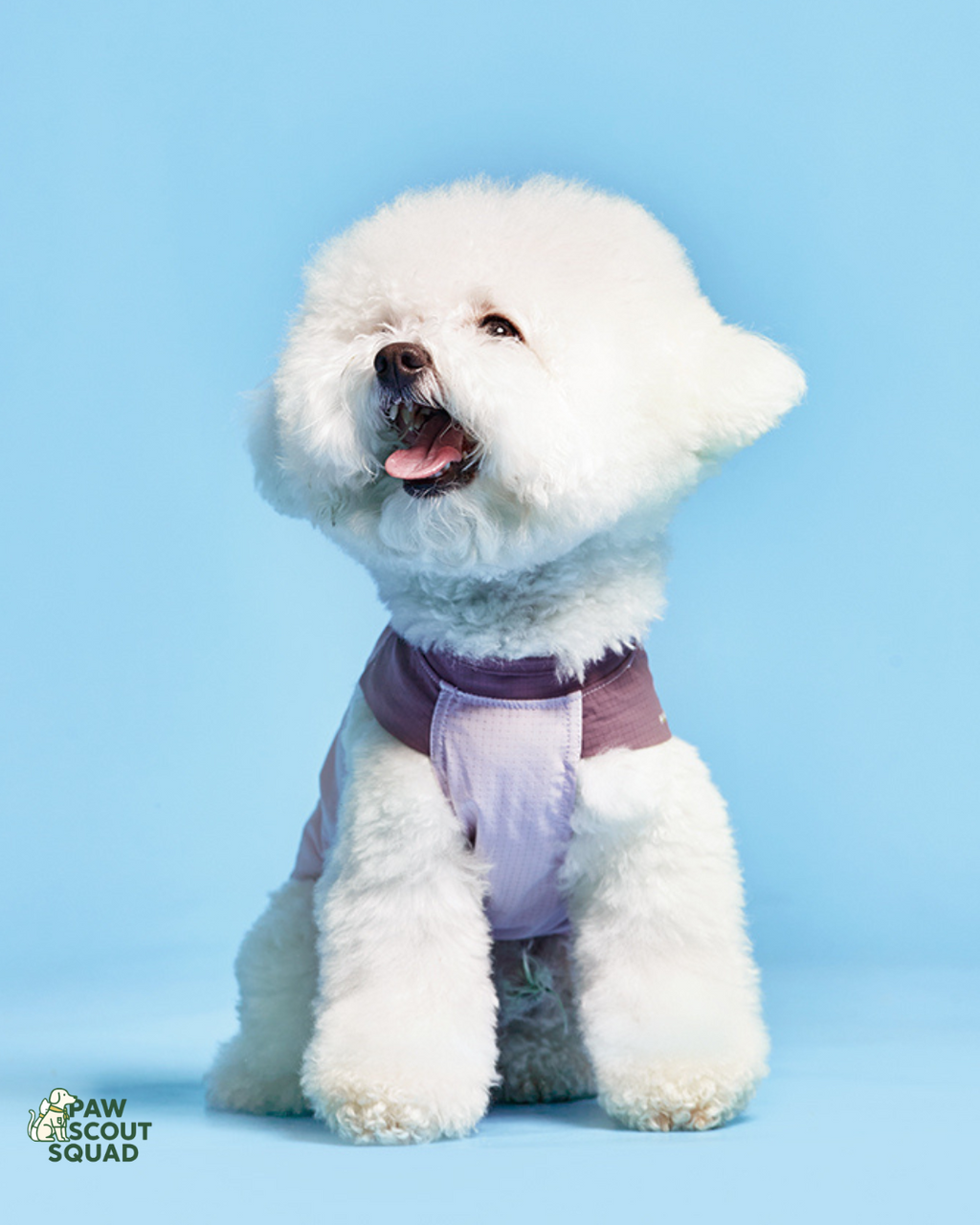 Hoooootdog Pet Apparel Cooling Sleeveless Tee (Purple Grapes)