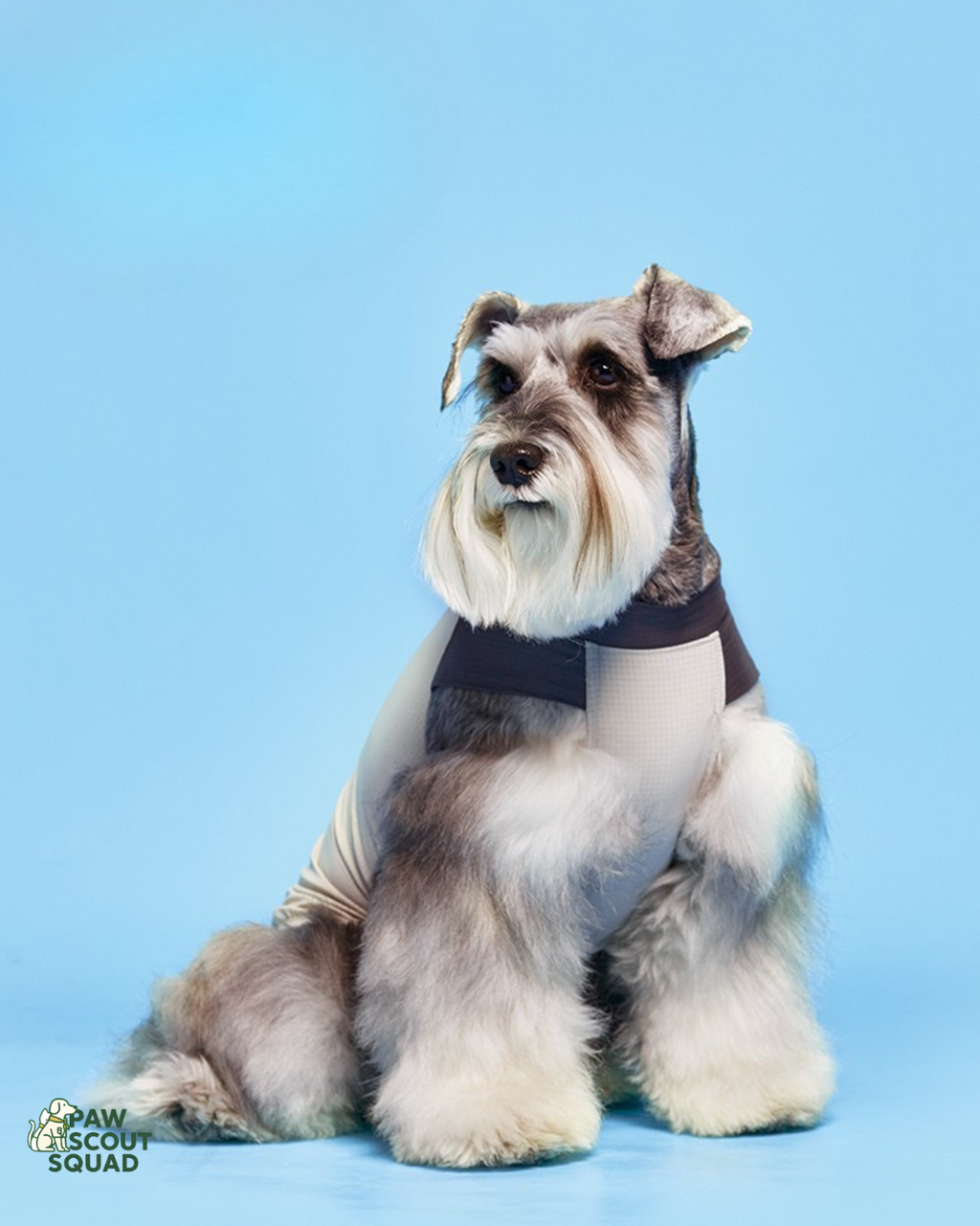 Hoooootdog Pet Apparel Cooling Sleeveless Tee (Charcoal Grey)