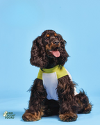 Hoooootdog Pet Apparel Cooling Sleeveless Tee (Lemon Green)