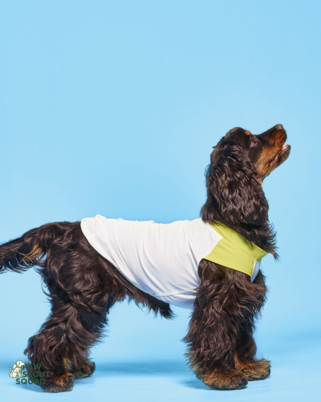 Hoooootdog Pet Apparel Cooling Sleeveless Tee (Lemon Green)