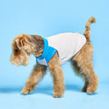Hoooootdog Pet Apparel Cooling Sleeveless Tee (Ice Blue)