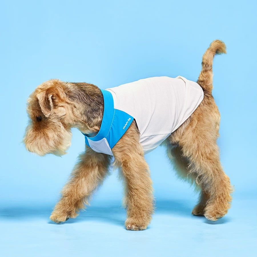 Hoooootdog Pet Apparel Cooling Sleeveless Tee (Ice Blue)