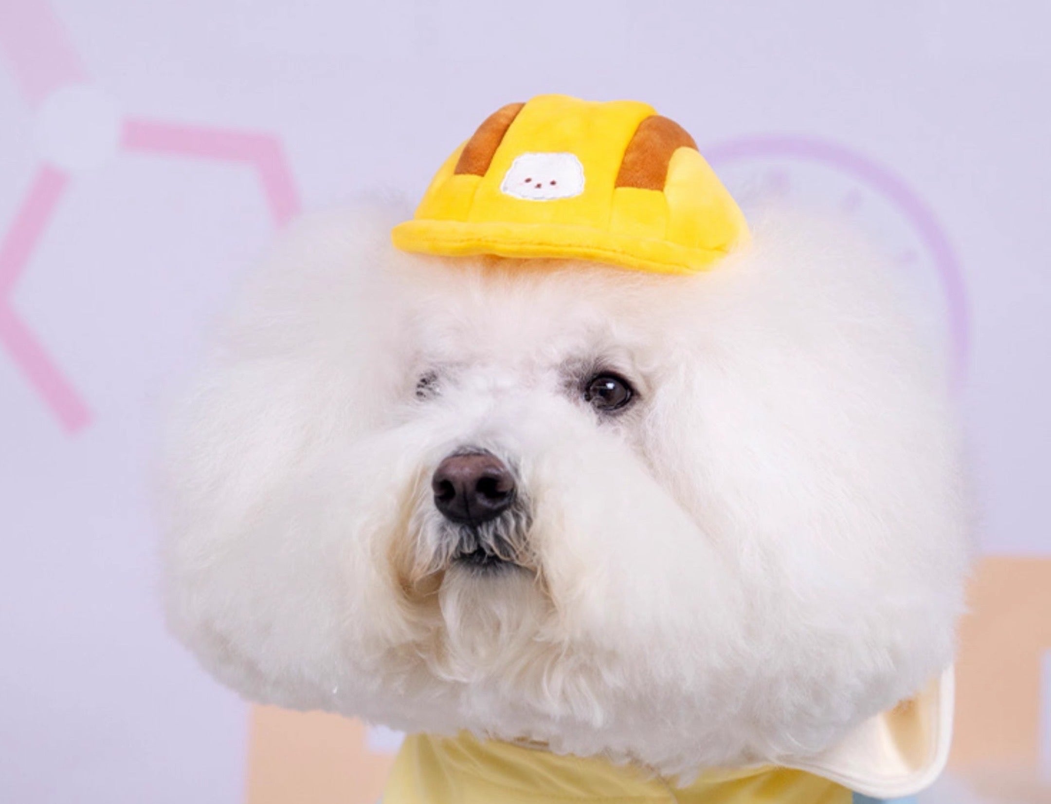 Cotties Mart Pet Toy Safety Helmet Plush