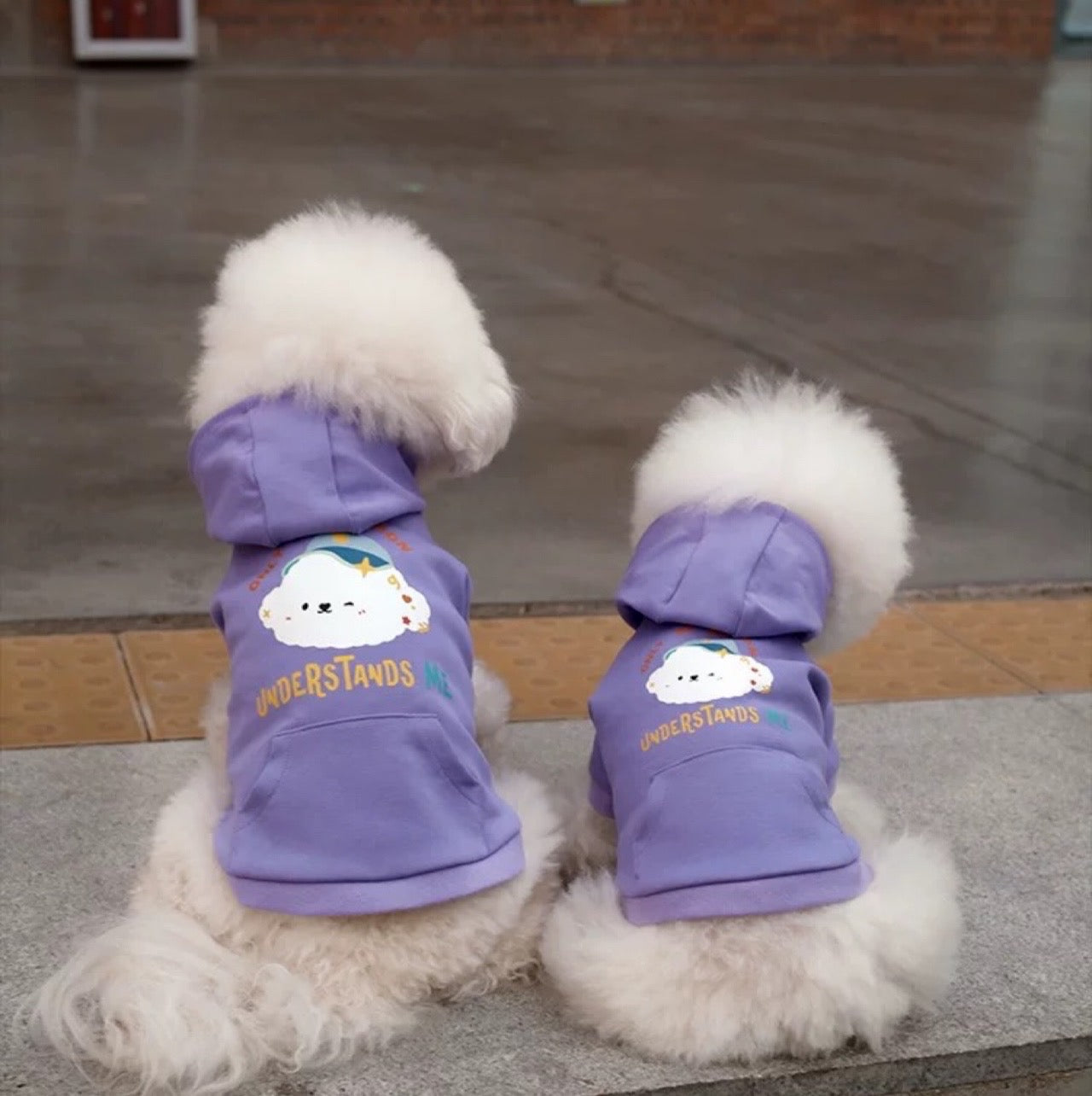Cotties Mart Pet-Owner Matching Hoodies Pet (Purple)