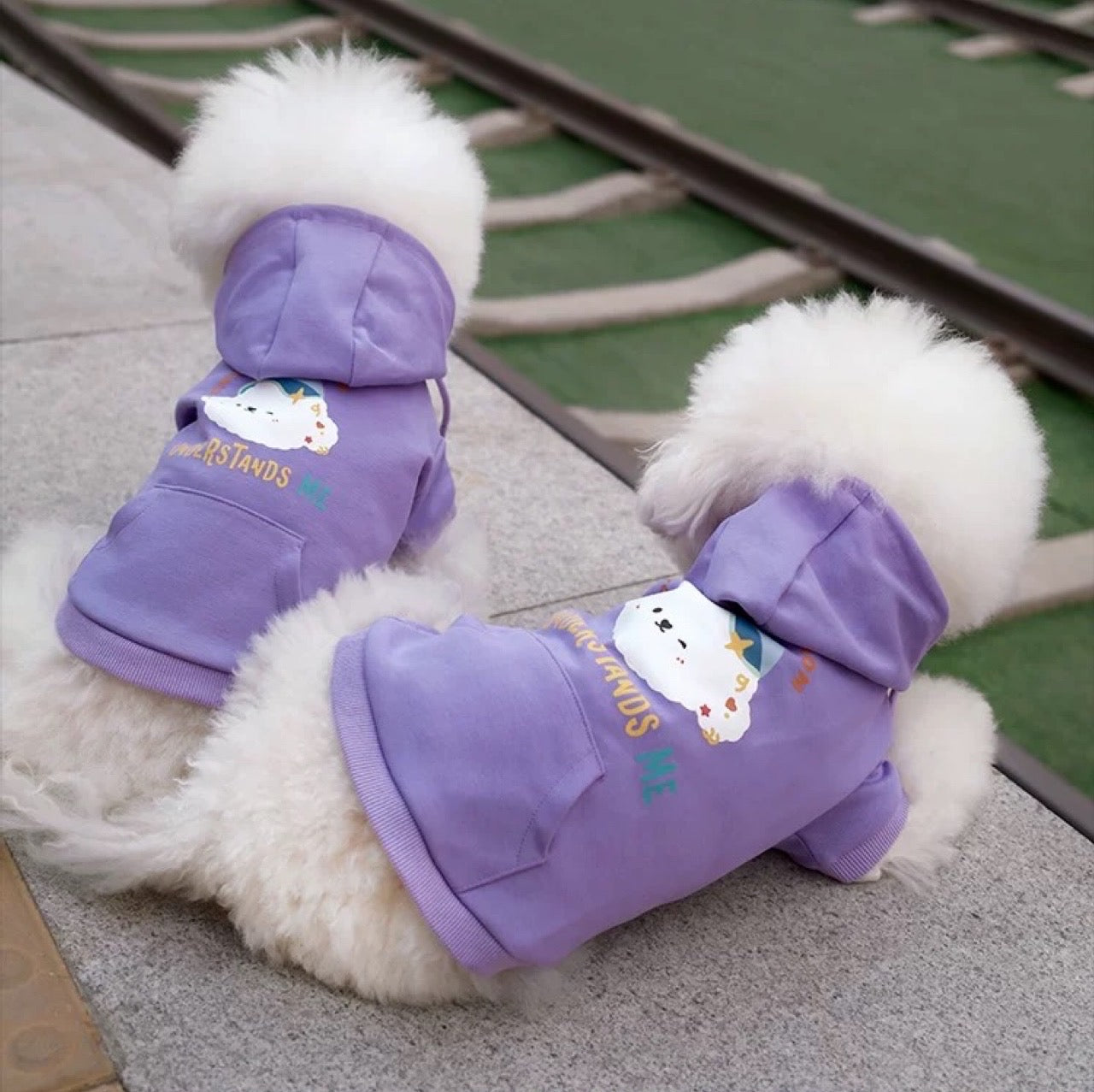 Cotties Mart Pet-Owner Matching Hoodies Pet (Purple)