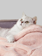 UF Pink Blanket