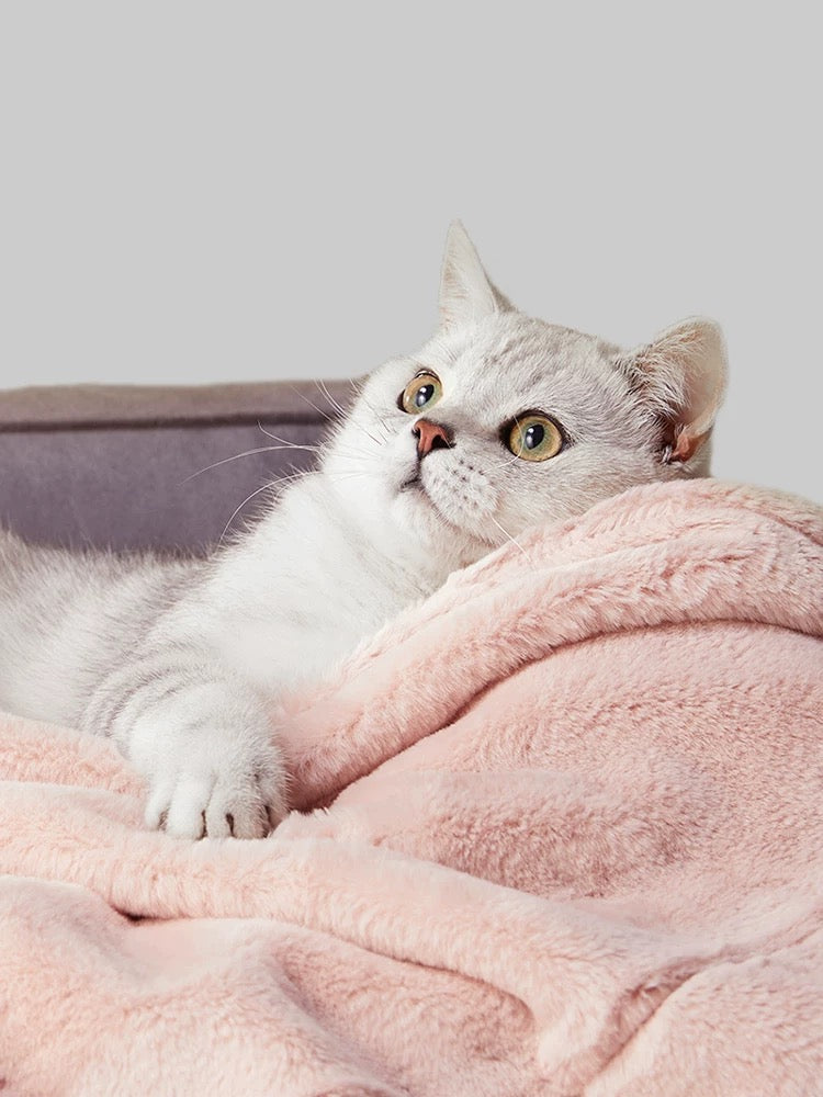 UF Pink Blanket