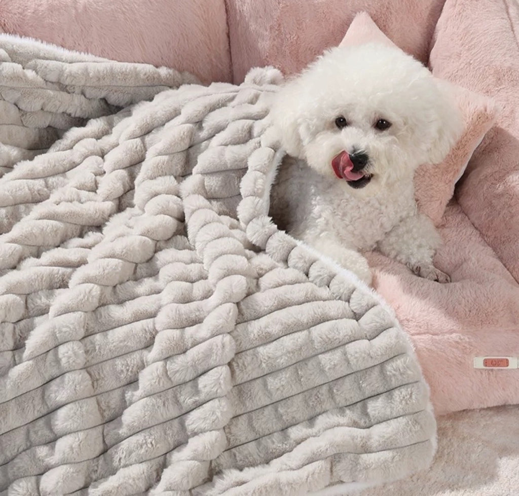 UF Quilted Blank