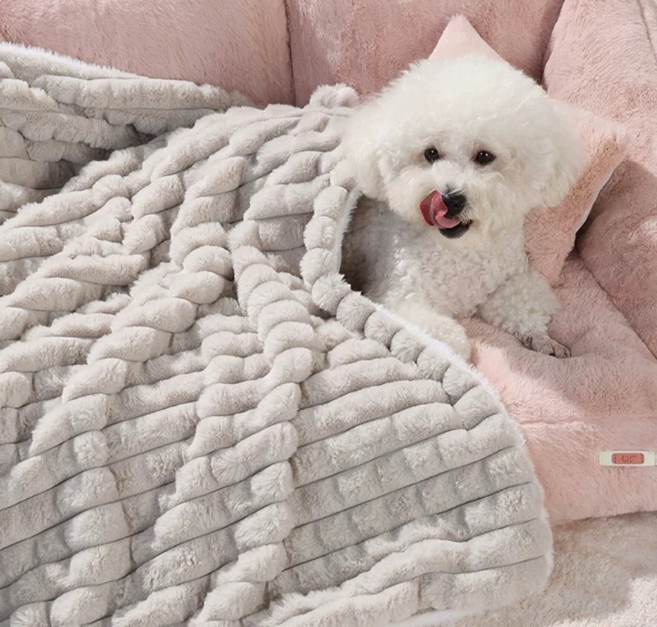 UF Quilted Blank