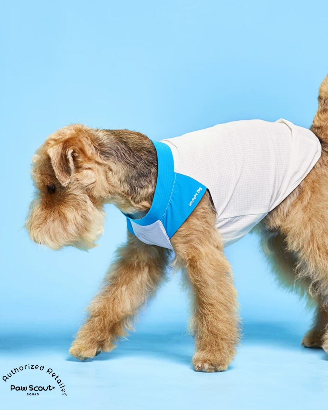Hoooootdog Cooling Cap Sleeve Tee