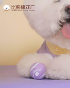 Cotties&Co Pet Toy Mini Tennis Ball (Purple)