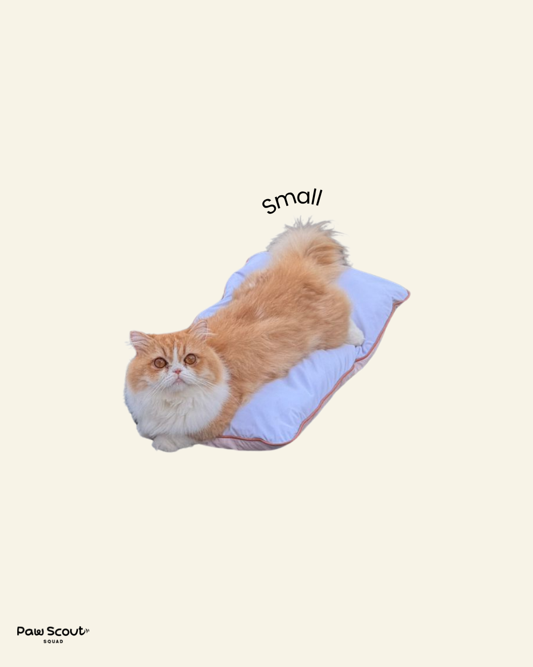 PAWSS Small Duo-sided Cooling Bed (Periwrinkle/Pink)