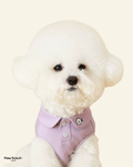 Hoooootdog Polo Shirt with 3% Silk
