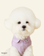 Hoooootdog Polo Shirt with 3% Silk
