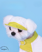 Hoooootdog Apparels Cooling Hat