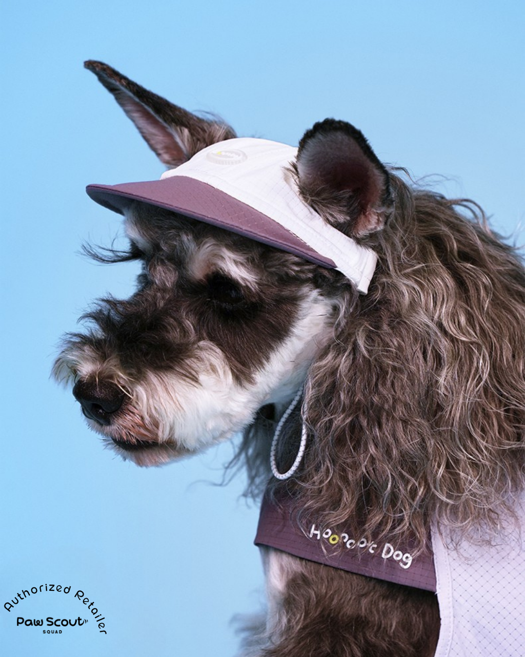 Hoooootdog Apparels Cooling Hat