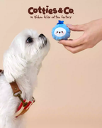 Cotties & Co Pet Toy Bouncy Squeaky Ball Fruit Party