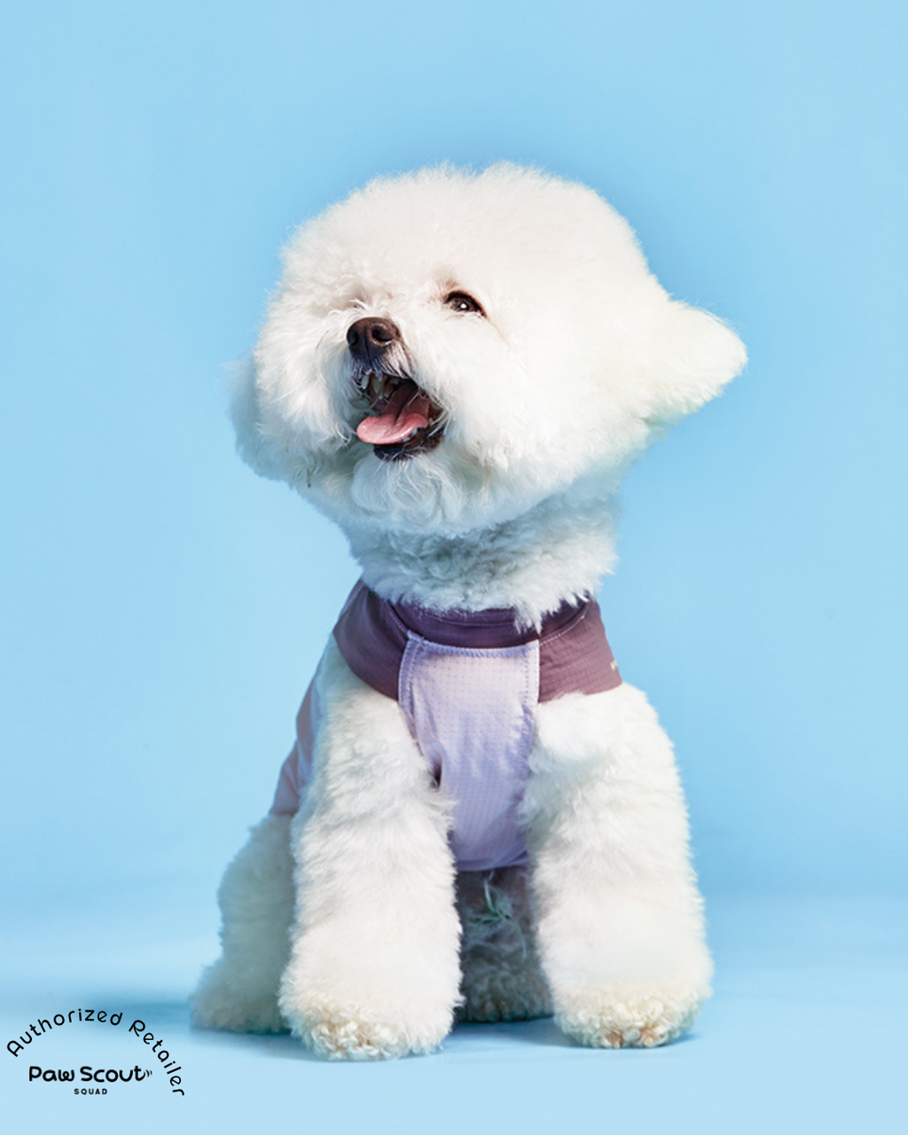 Hoooootdog Pet Apparel Cooling Sleeveless Tee (Purple Grapes)