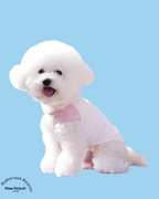 Hoooootdog Pet Apparel Cooling Sleeveless Tee (Peachy Pink)