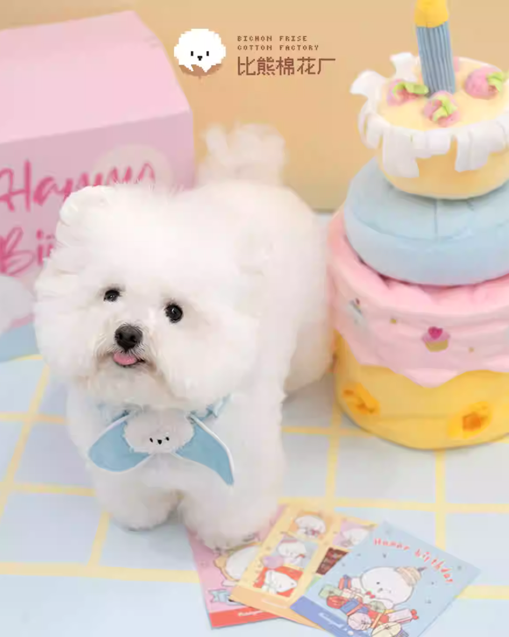 Cotties & Co x Raisingwell Pet Toy Birthday Snuffle Cake