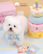 Cotties & Co x Raisingwell Pet Toy Birthday Snuffle Cake
