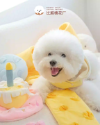 Cotties & Co x Raisingwell Pet Toy Birthday Snuffle Cake