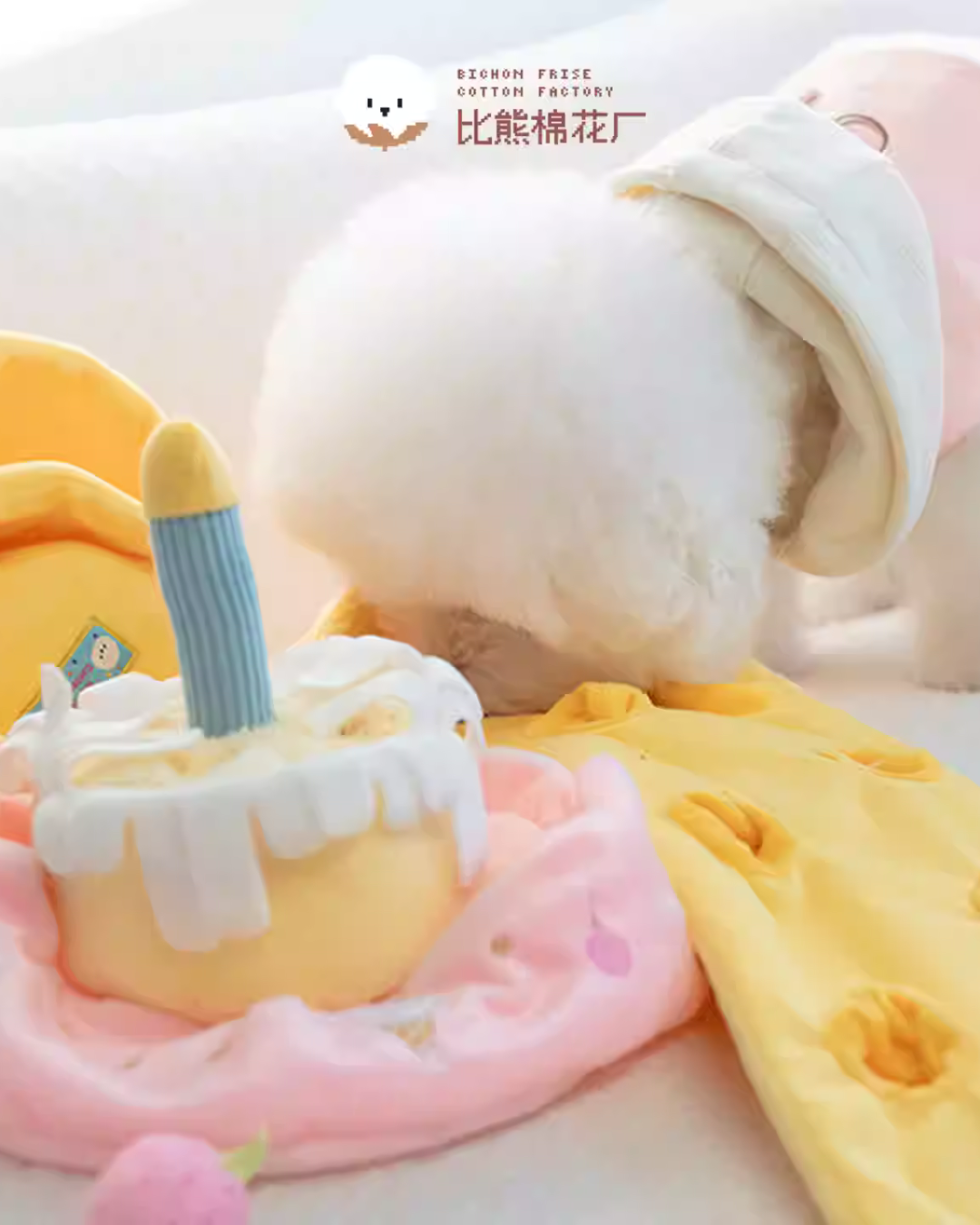 Cotties & Co x Raisingwell Pet Toy Birthday Snuffle Cake