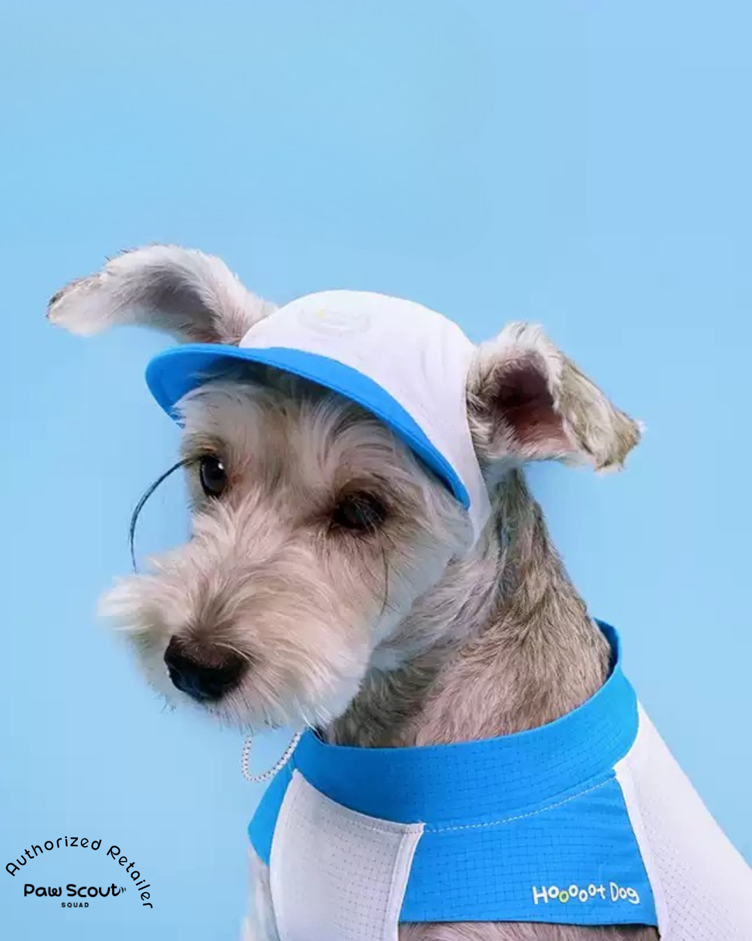 Hoooootdog Apparels Cooling Hat