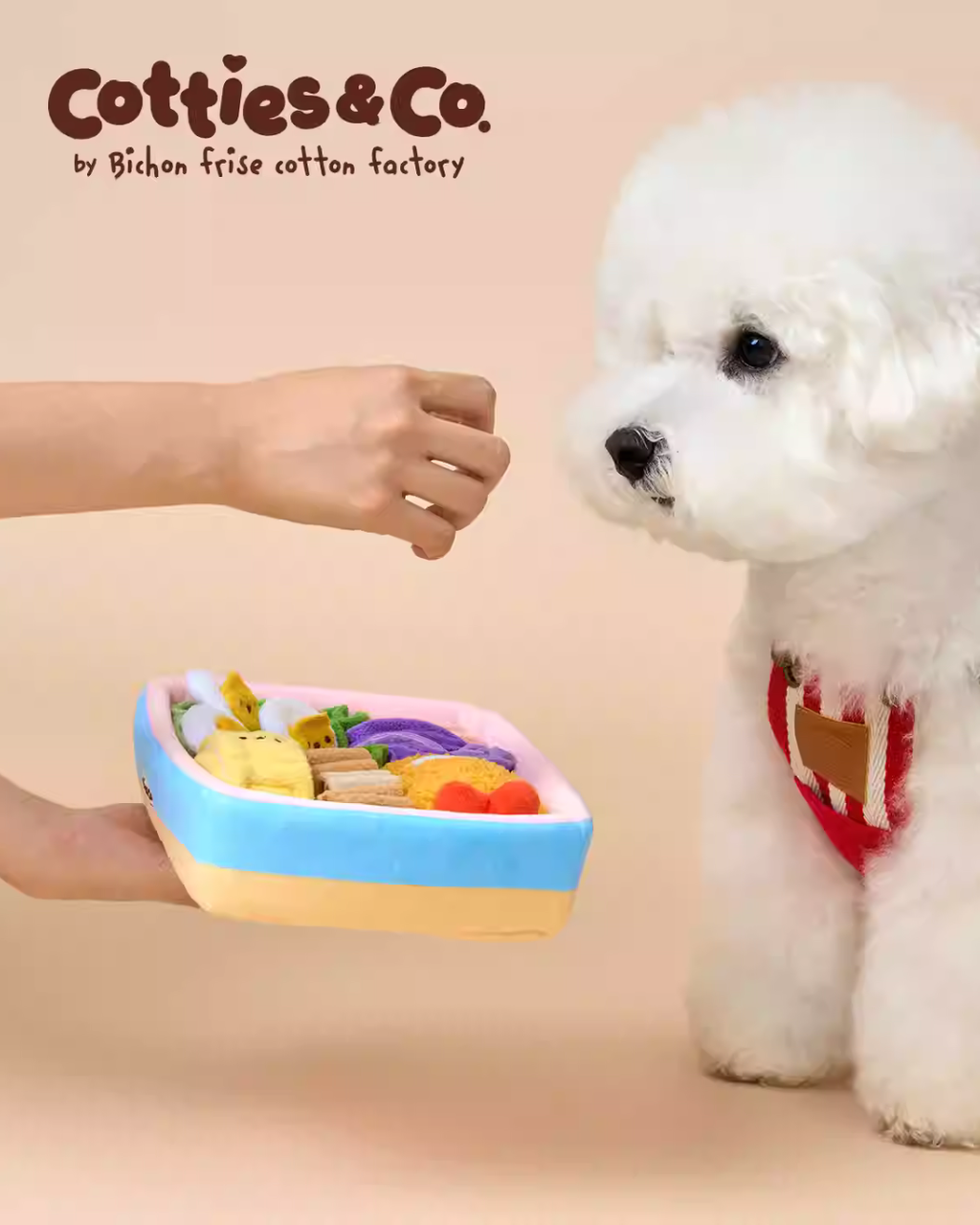 Cotties & Co Pet Toy Lunch Box