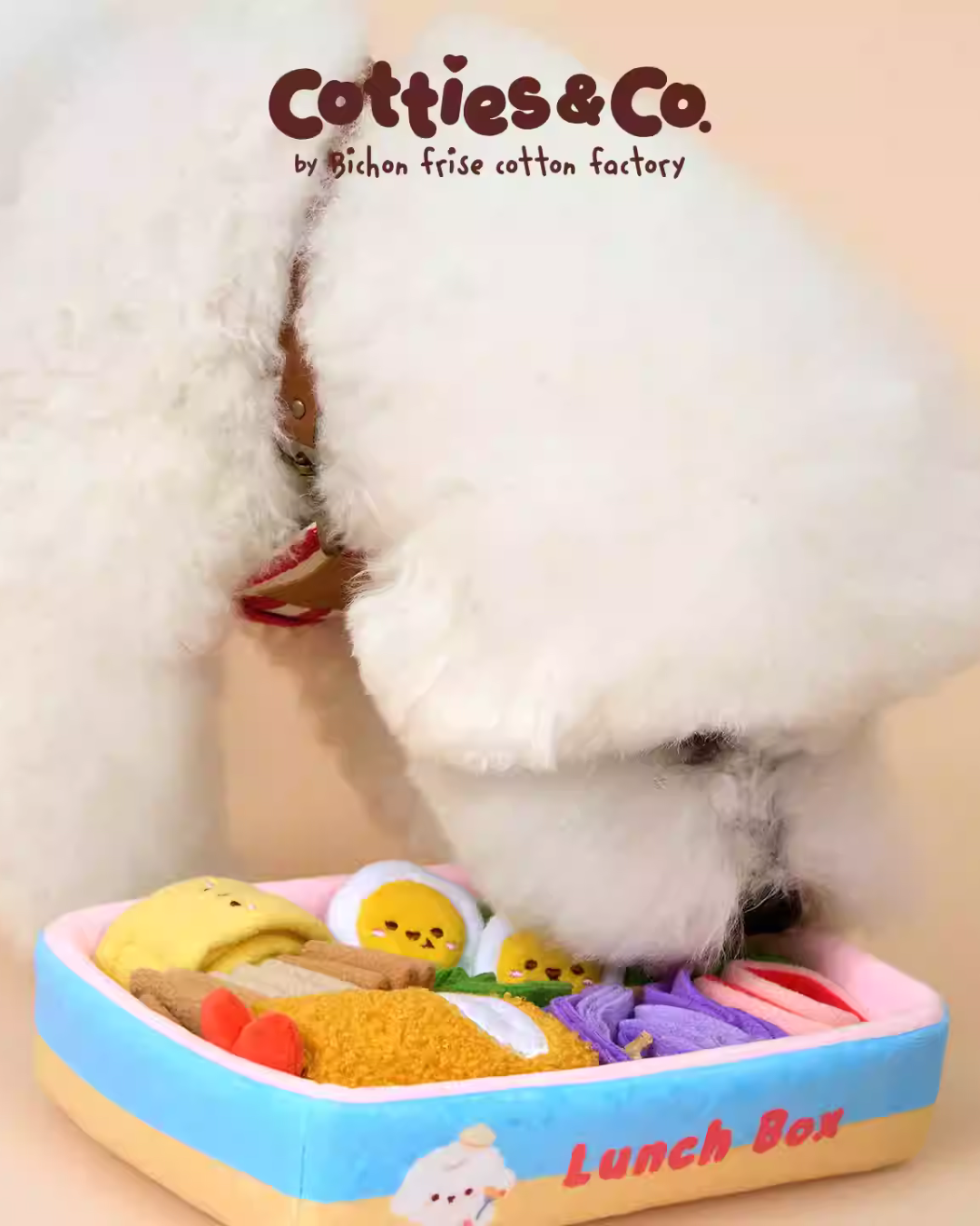 Cotties & Co Pet Toy Lunch Box