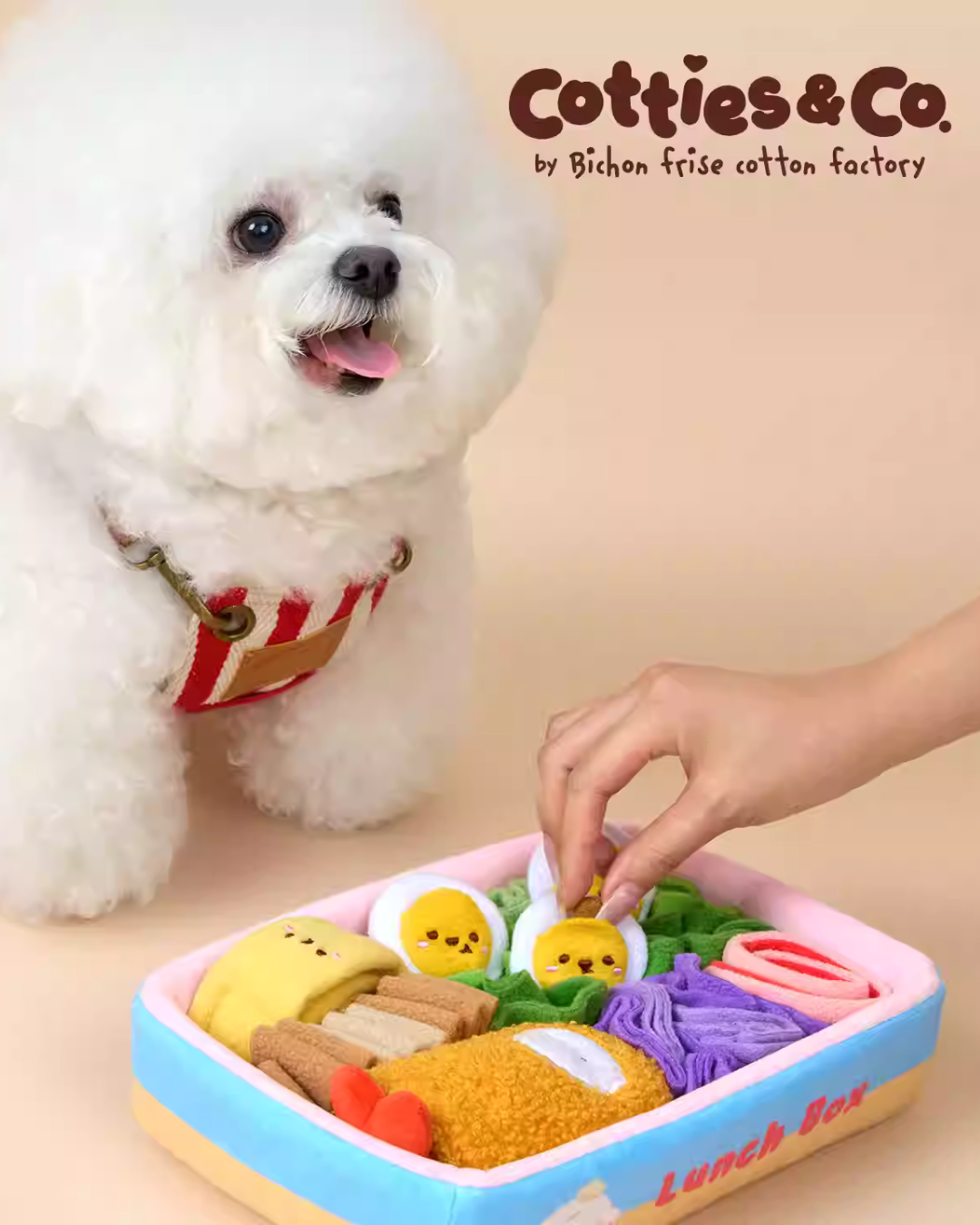 Cotties & Co Pet Toy Lunch Box