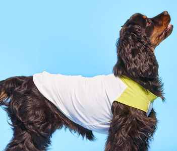 Hoooootdog Apparel Cooling Short Sleeve Top (Lemon Green)