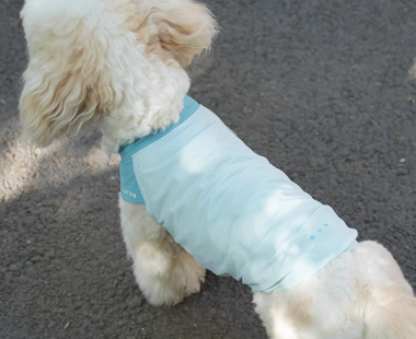 Hoooootdog Apparel Cooling Short Sleeve Top (Coconut Cool)