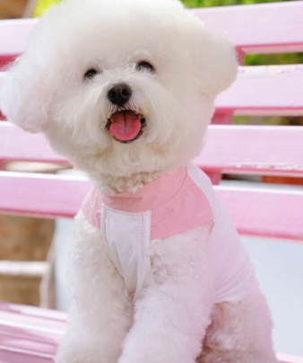 Hoooootdog Apparel Cooling Short Sleeve Top (Peachy Pink)