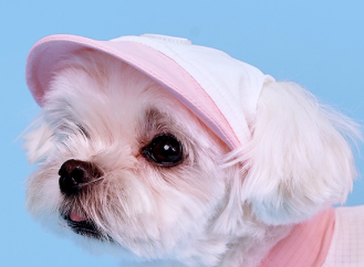 Hoooootdog Apparels Cooling Hat (Peachy Pink)