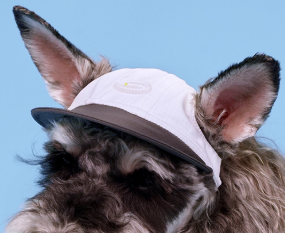 Hoooootdog Apparels Cooling Hat (Charcoal Grey)