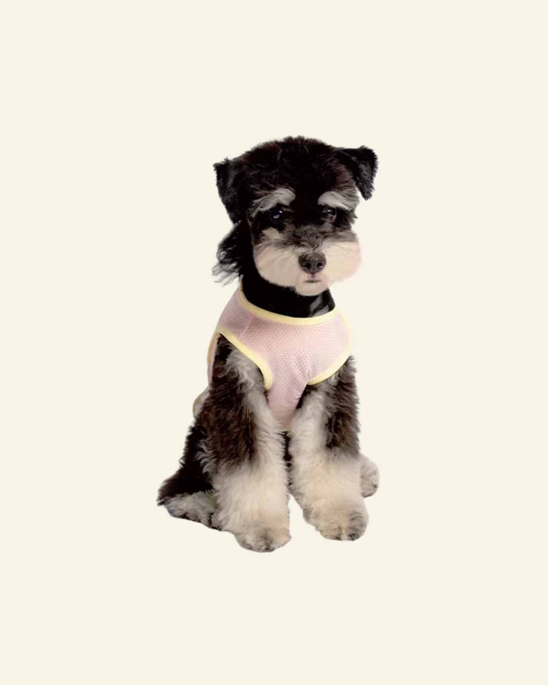 PAWSS Pet Breathable Vest (Pink)