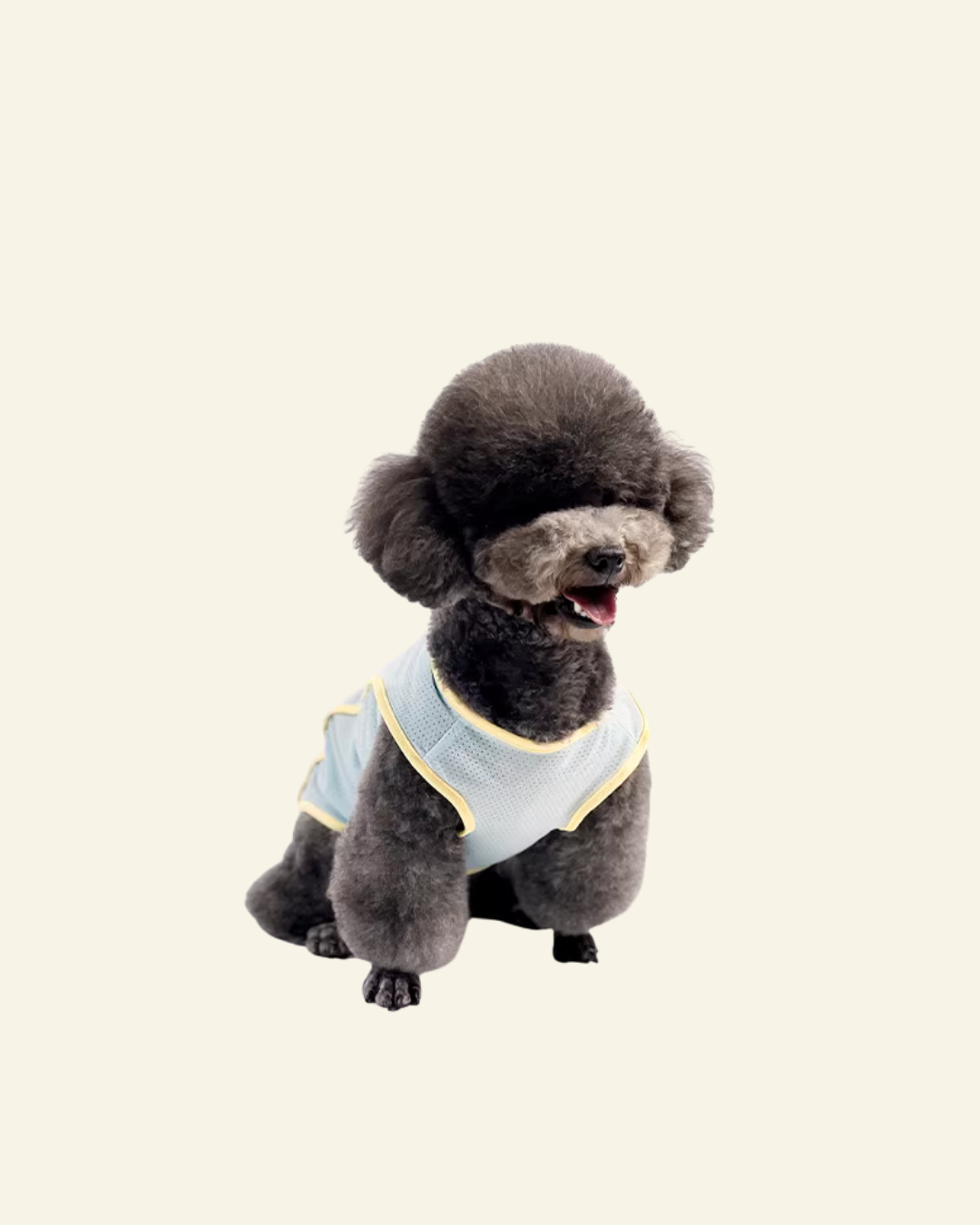 PAWSS Pet Breathable Vest (Blue)