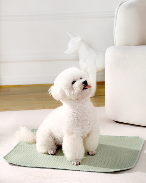 Anti-Slip Cooling Mat (Green)
