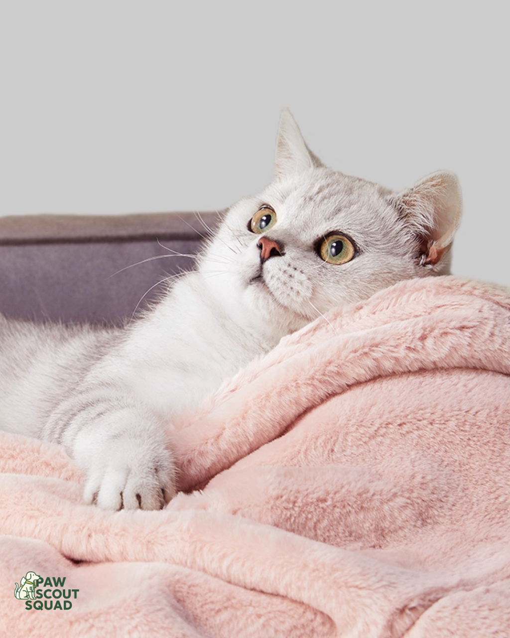 UF Double-sided Fleece Blanket (Pink Grey)