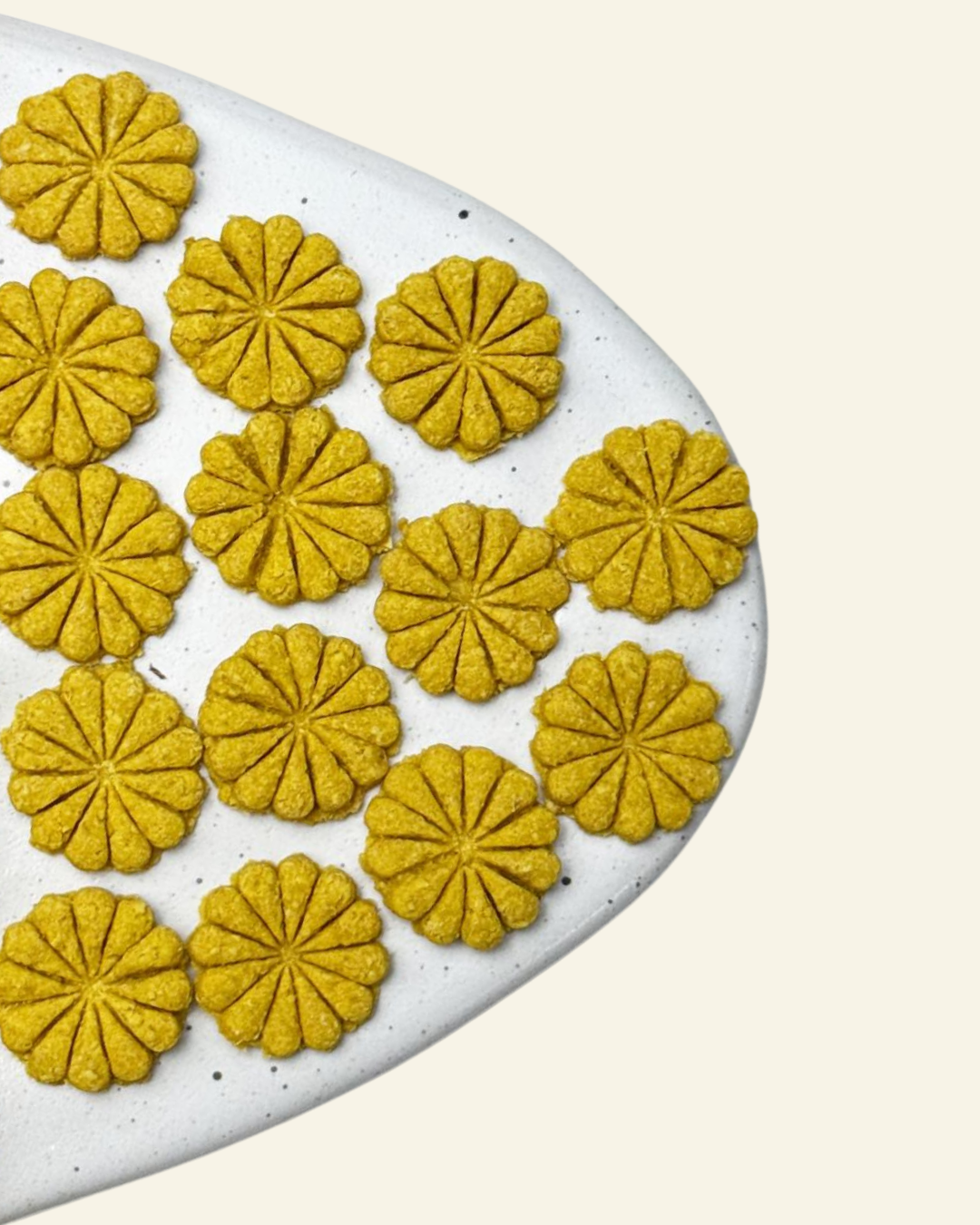 Barkitecture Pet Treats Pumpkin Paw-sons