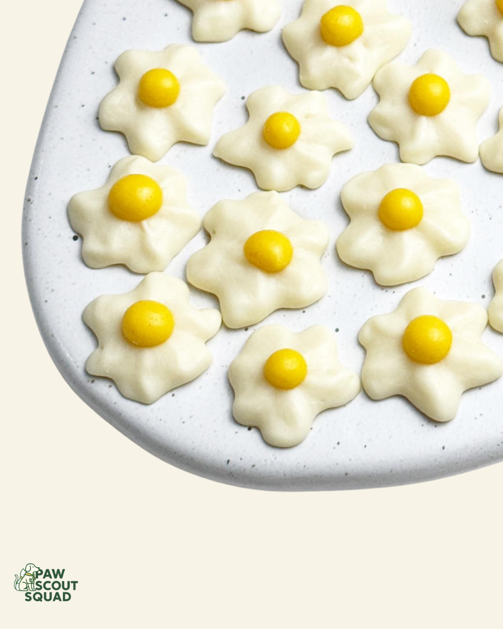 Barkitecture Pet Treats Eggstra Bloom